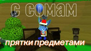 Играю с сомом в прядки предметами