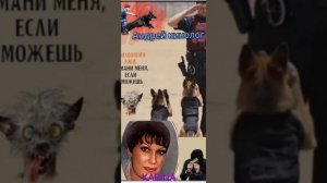 Поход по лохомагазинам.