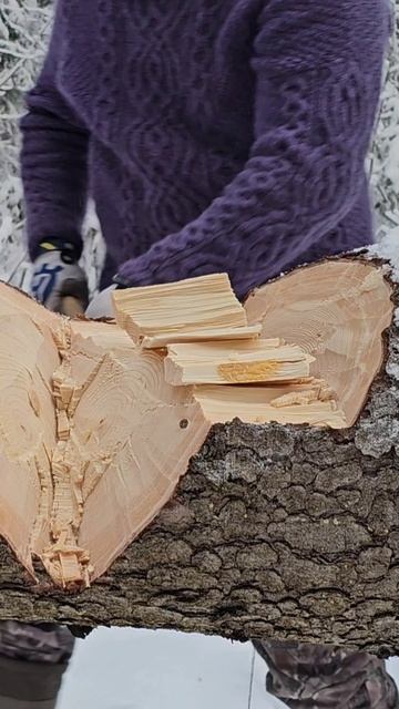 Рубка бревна на весу "Севером" К. Иванова. смотреть онлайн