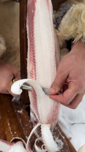 Чир из Якутии