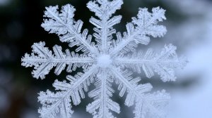 авторская песня   Зимний поцелуй