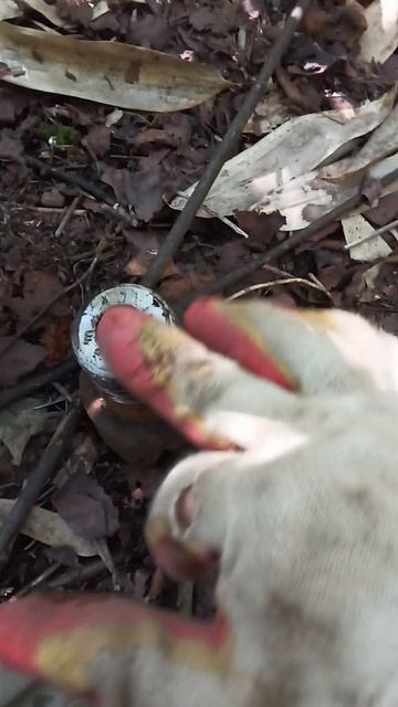 Буровая в джунглях бамбука смотреть онлайн