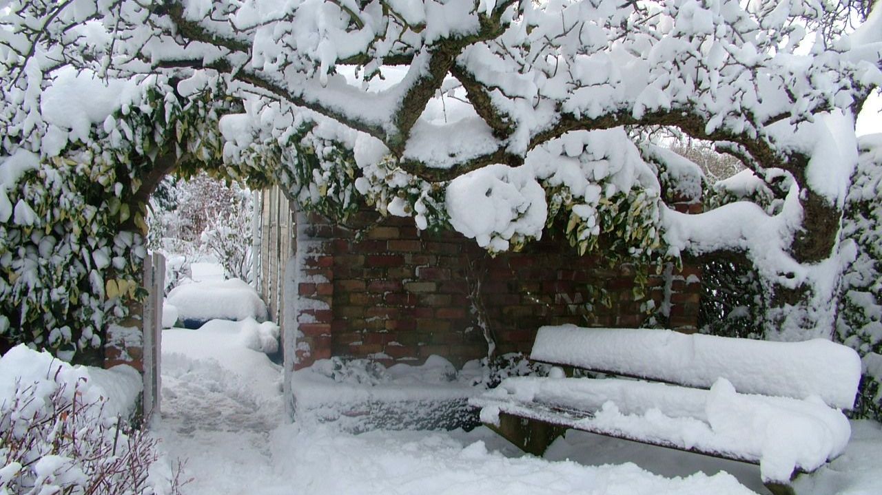 Наш двор 30.12.2025 г. смотреть онлайн