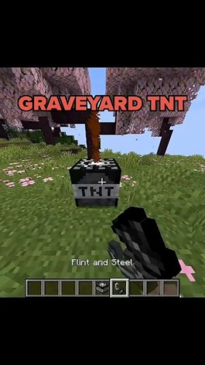 Виды ТНТ💣🧨