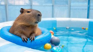 ИИ АНИМАЦИЯ