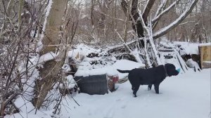 30 декабря. Предпоследний день этого года.
