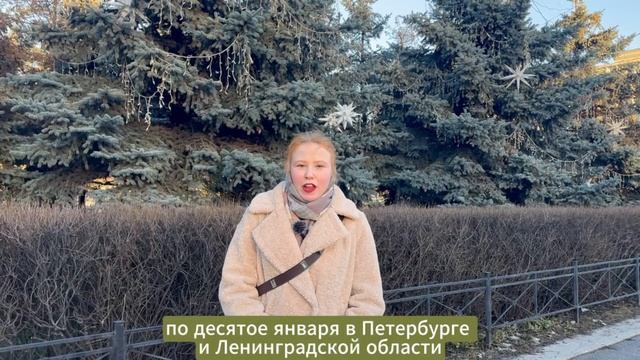 Как Новый год встретить экологично?