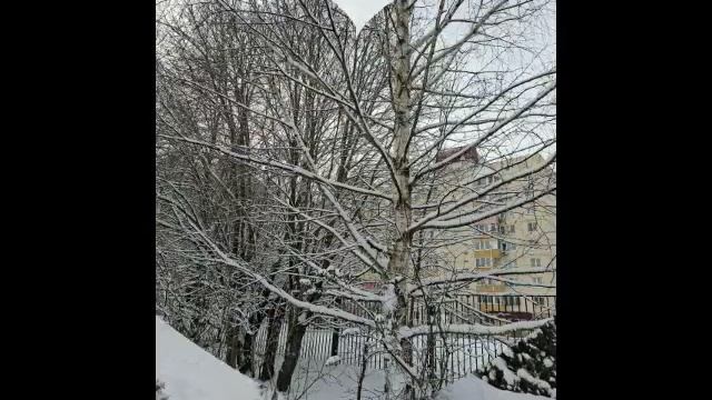 Декабрь в Можайске.mp4 смотреть онлайн