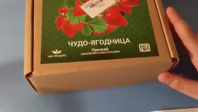 Как посадить клубнику дома_ Посадка семян из _чудо-ягодницы смотреть онлайн