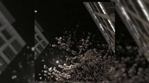 популярные песни | вайб speed up