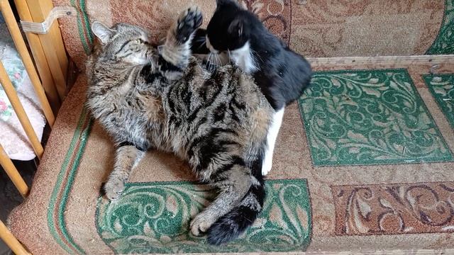 Мы проснулись зарядка смотреть онлайн