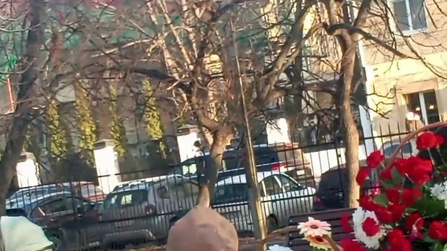 Память! Саратовцам - юнгам Северного флота от благодарных потомков? смотреть онлайн