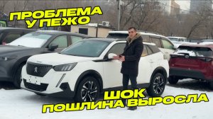 ШОК ПОШЛИНА ВЫРОСЛА! ПРОБЛЕМА НА PEUGEOT! HONDA В ПУТИ