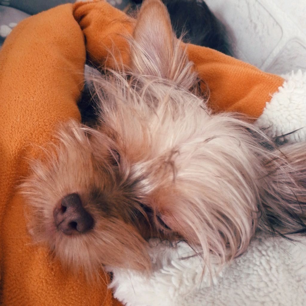 ребята извените что так поздно давайте начнем!!! смотреть онлайн