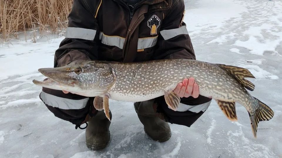 Зимняя рыбалка. Самара р. Сок 28.12.2025 (где рыбачить в Самаре и Самарской области)
