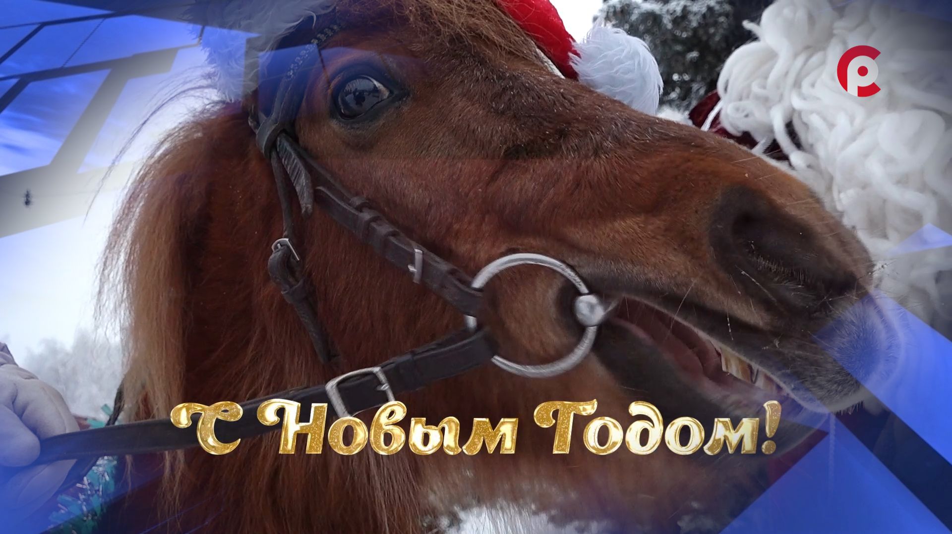 Морковный патруль смотреть онлайн