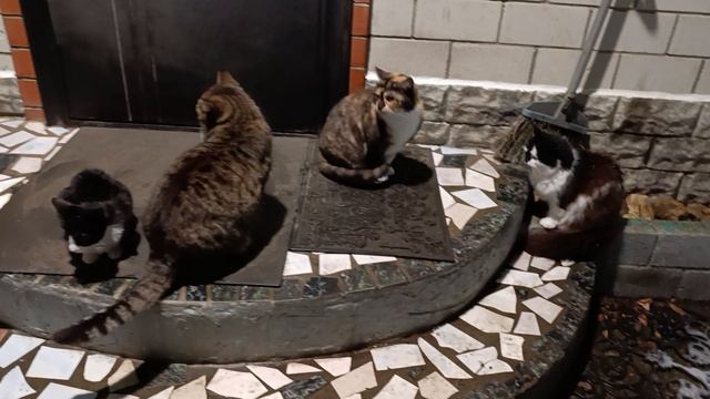 Ночная прогулка смотреть онлайн