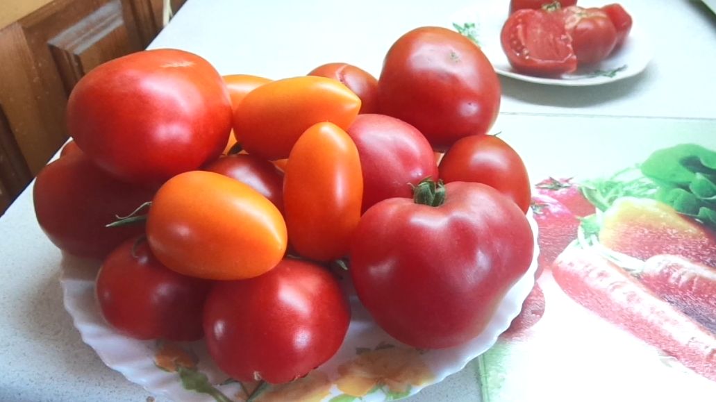 Лучшие томаты для сибиряков и северян! Томат Госпожа Удача. №66. Неприхотливый и выносливый сорт. смотреть онлайн