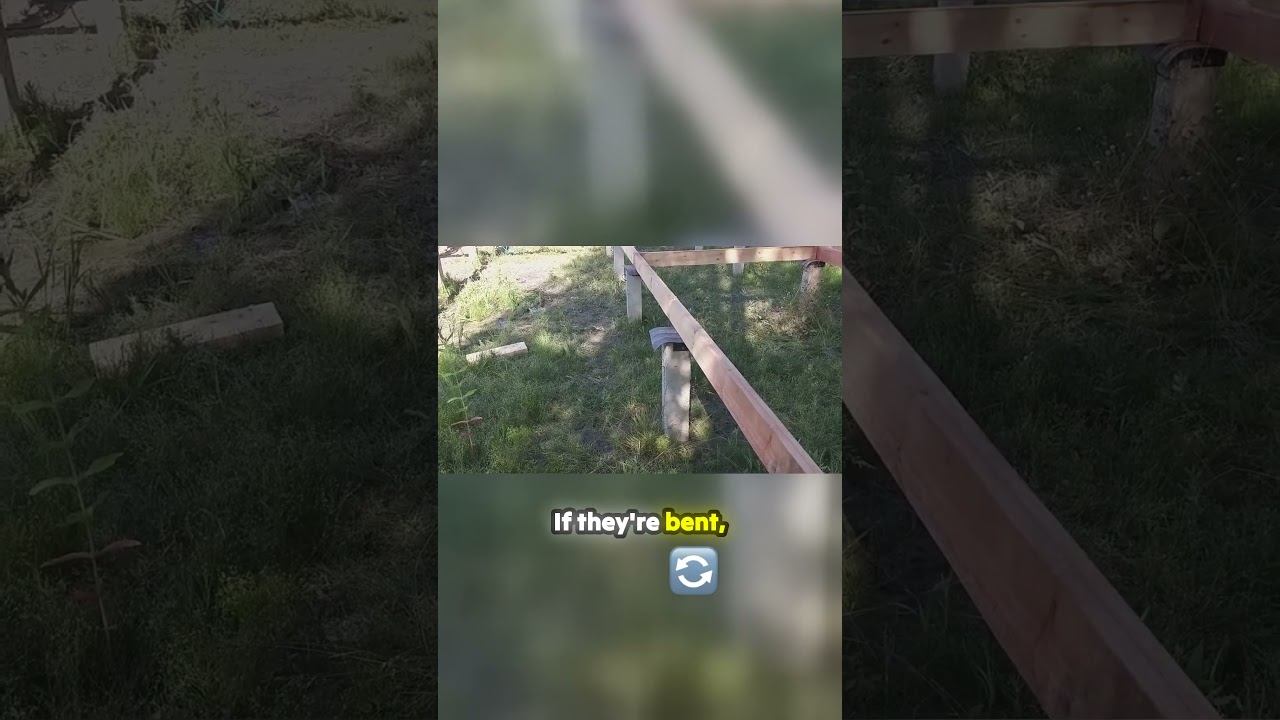 Why You Can't Bend Big Timber Like Bruce Once It's In Place смотреть онлайн