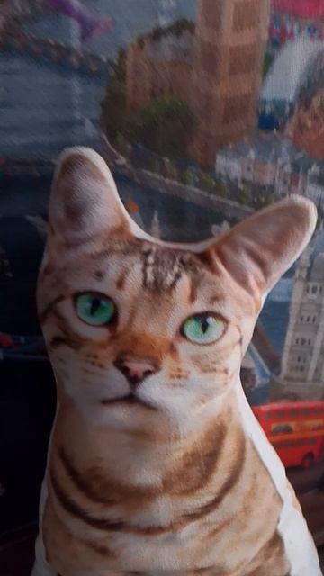 маленький отрезок Симба Томас и астро-кошка.