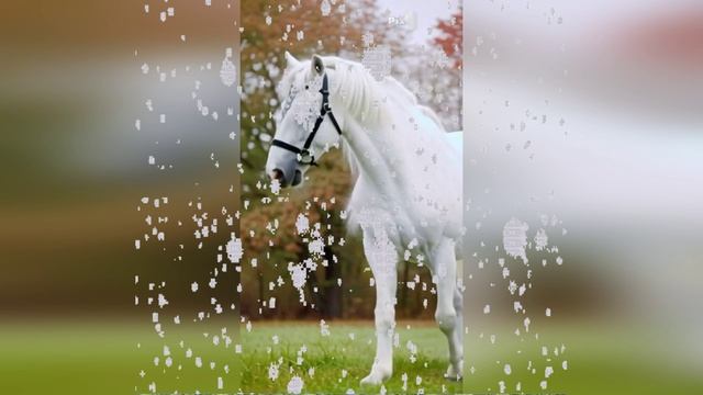 С НОВЫМ ГОДОМ !!! смотреть онлайн