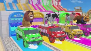 АНИМАЦИИ ПРО ЗВЕРЯТ — ТОЛЬКО СМЕХ, ТАНЦЫ И БЕЗУМНЫЕ ПРИКЛЮЧЕНИЯ!