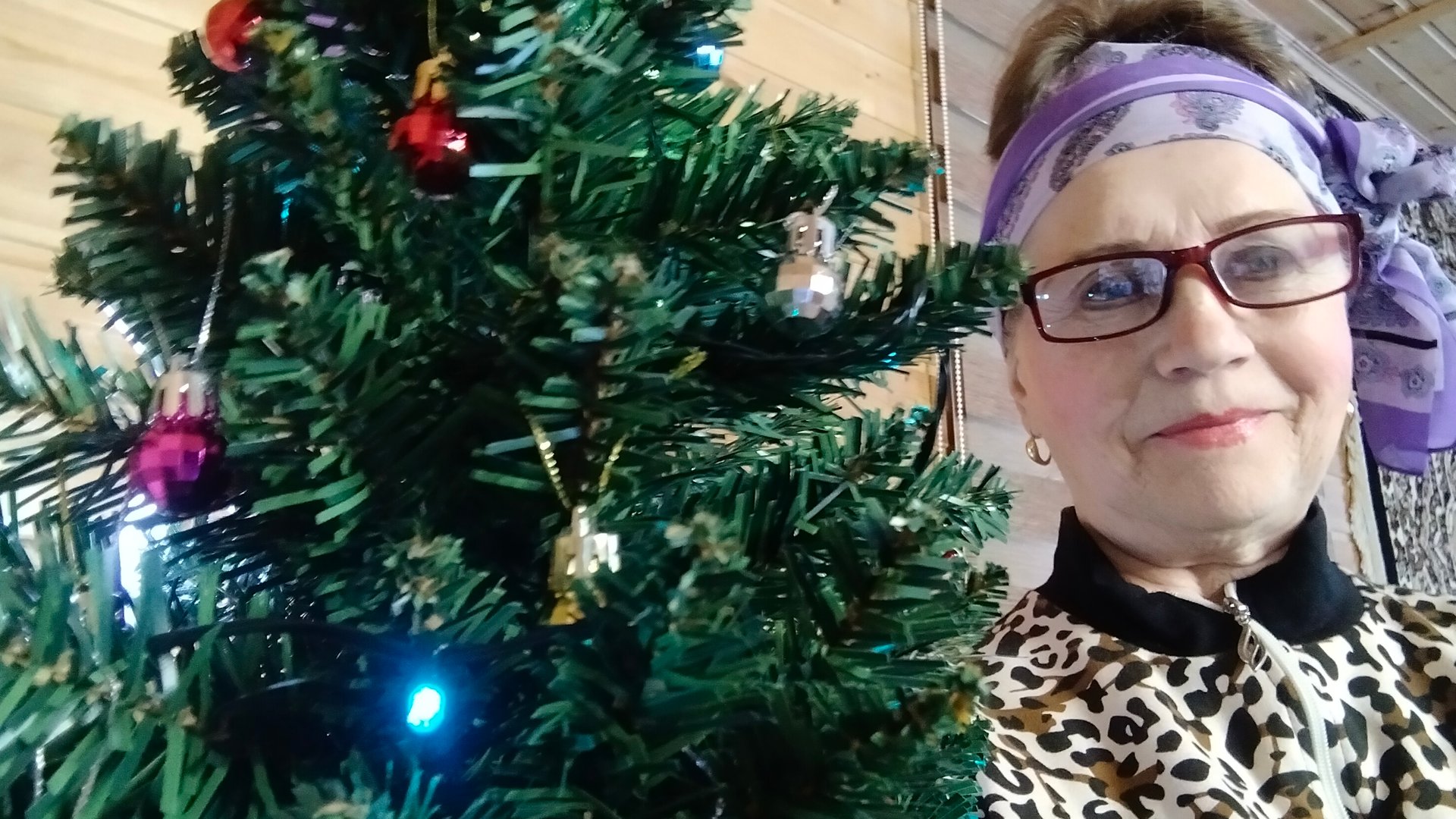 Электрогриль Новогодний подарок