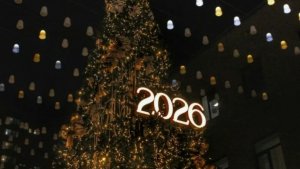 Новый год. 2026 год.