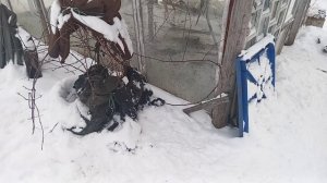 Сезону пришёл конец - новый будет молодец!!!