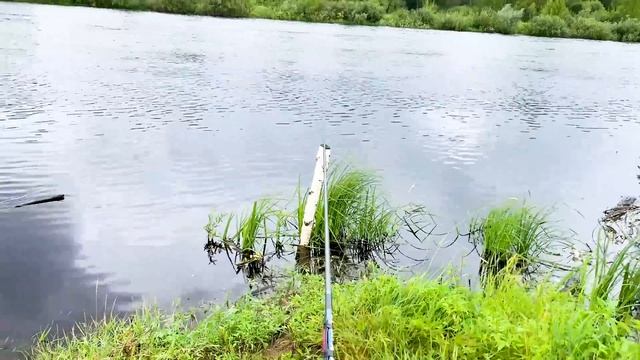 Ловлю рыбу на ЧЕРНОБЫЛЬСКОЙ реке УЖ ☢ Можно ли есть ры смотреть онлайн
