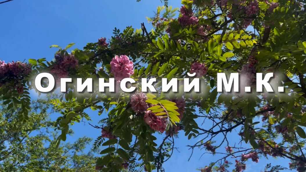 Огинский М.К. полнез №8. музыка для души