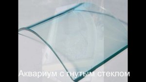 Аквариум с гнутым стеклом