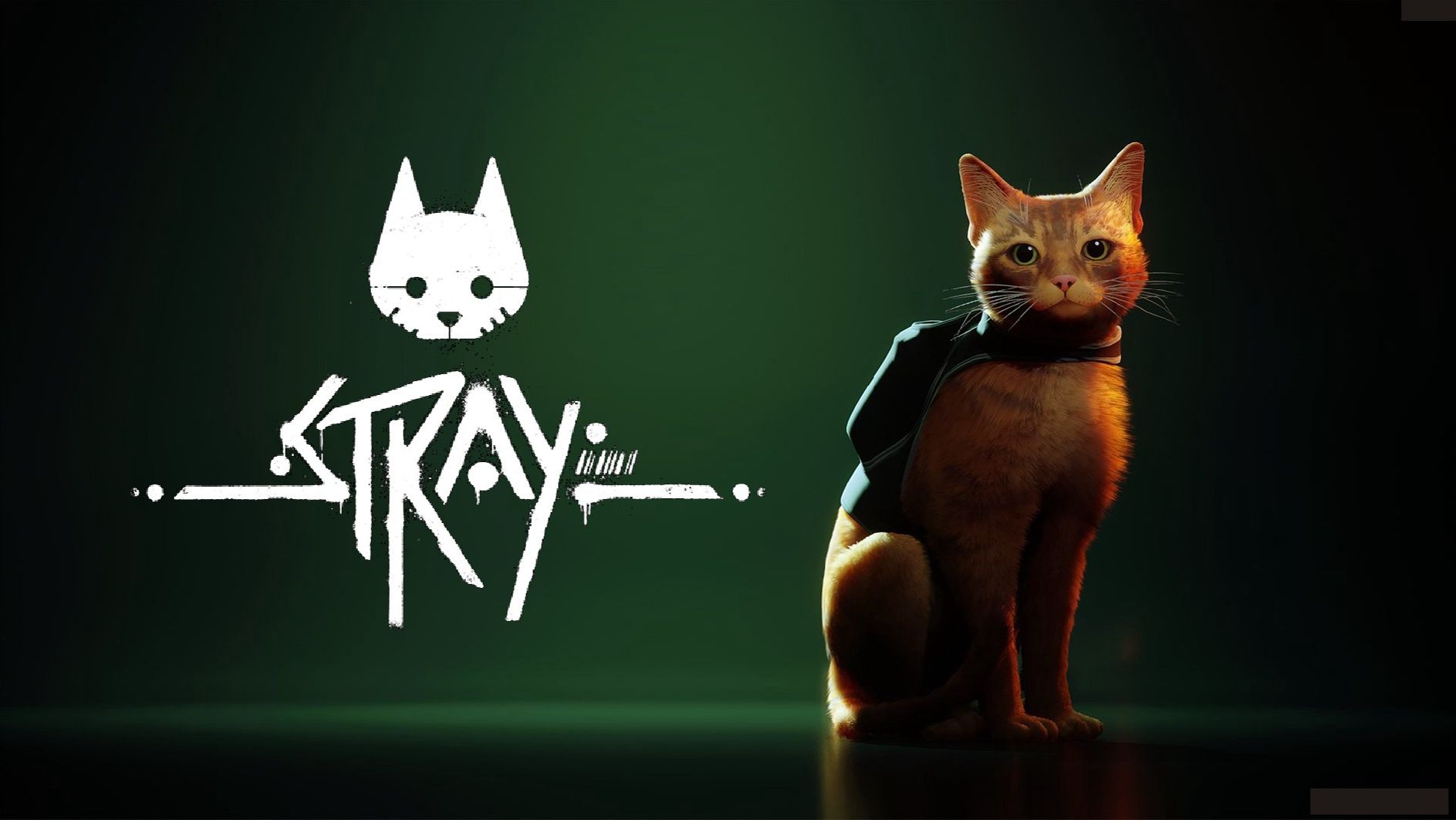 Stray смотреть онлайн