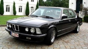 Проект для BMW E 23 Серия 7 . Мастеровой Руслан Шпонирование.  ""Найдите Изображение Собаки"