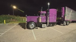 Из Калифорнии в Денвер на Розовом Траке)