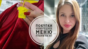 Vlog 144/25.Предновогодний//Новогоднее меню//Покупки//Планы на НГ🎄// Mariya VD LIFE.