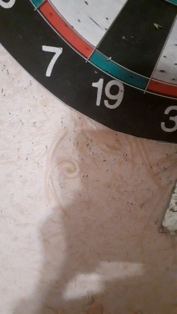 я разачерован 2