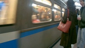 2025 год глазами медведя