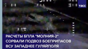 Расчеты БПЛА «Молния-2» сорвали подвоз боеприпасов ВСУ западнее Гуляйполя
