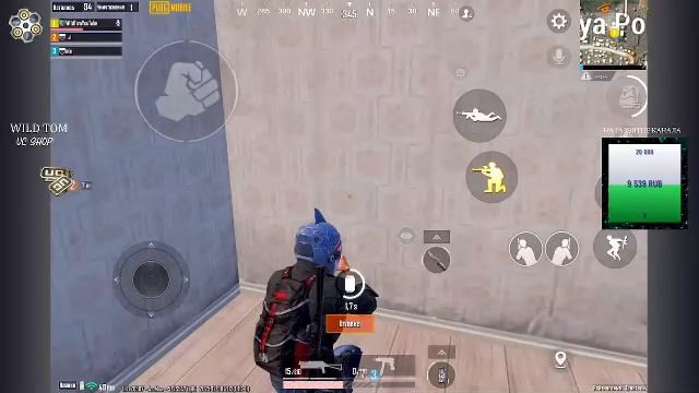 LIVE: WildTom_YouTube