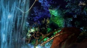 Сердце природы - Расслабляющая атмосфера и музыка из мультфильма Моана, фоновая музыка