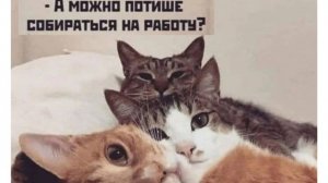 Vladivostok FM - Grand Theft Auto IV