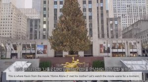 Самое праздничное Рождество в Нью-Йорке в отеле Plaza, пальто от Dior прогулка по заснеженным улицам