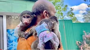 Мы идем на прогулку и Анфиса с Фиником как друзья держатся за лапки)))