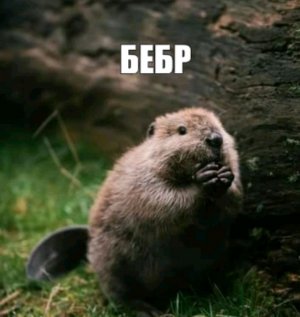 хей брат привет