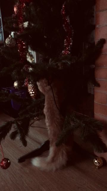 Новый год, елка,  кот . С Наступающим Новым годом!🥳