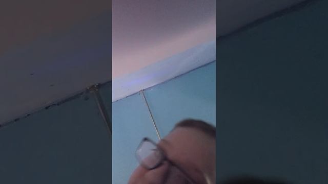 мой кот смотреть онлайн