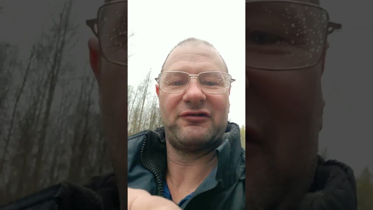 Live highlight смотреть онлайн