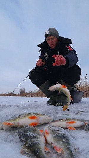 ВСЕ ИЩУТ, А Я НАШЁЛ! Рыбалка #астраханскийклев