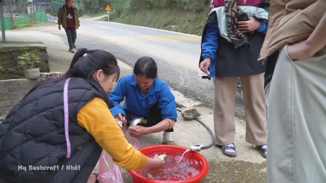 Cast Nets To Catch Fish And Take Them To The Market To Sell ⧸My Bushcraft смотреть онлайн